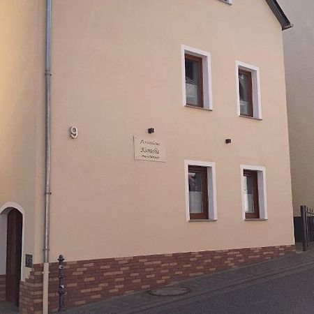 Ferienwohnungen Kamelia Cochem Zewnętrze zdjęcie